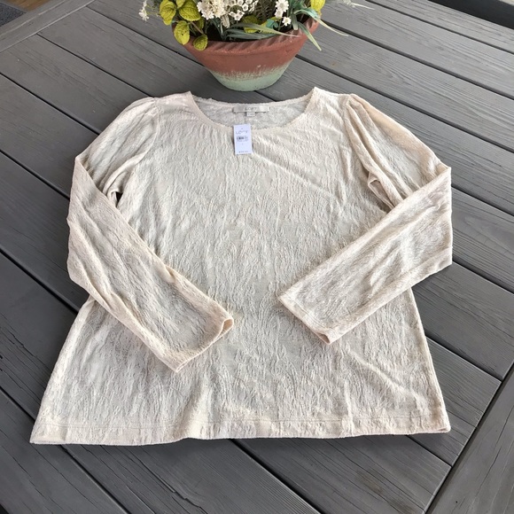 LOFT Tops - LOFT Long Sleeved Cream Lace Top - NWT